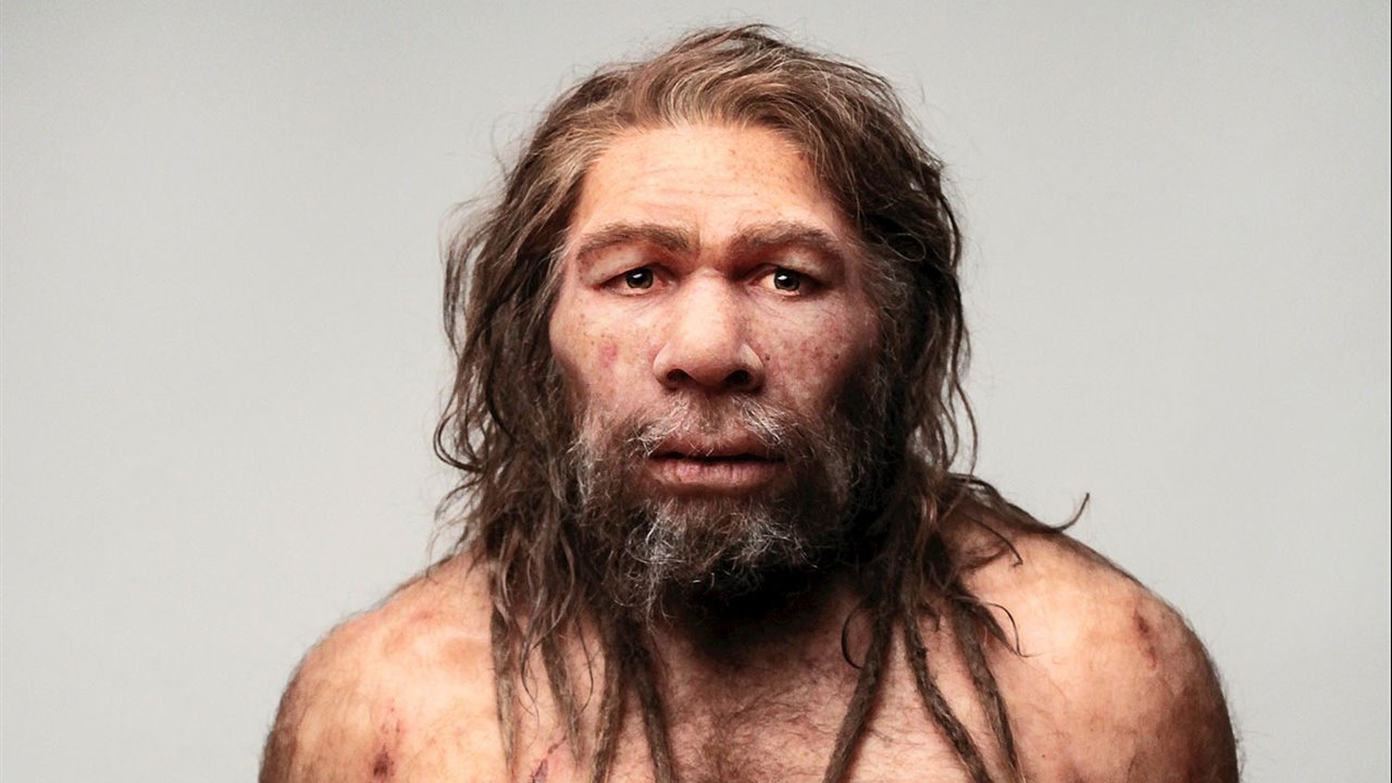 Cuando compartíamos el planeta: La verdadera historia del encuentro entre Homo sapiens y neandertales